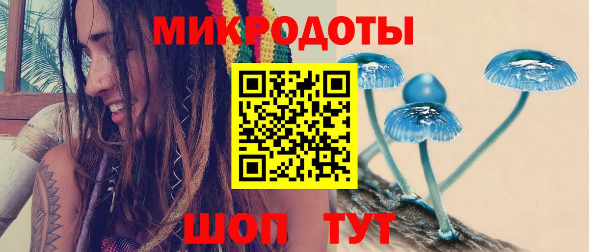 Псилоцибиновые грибы GOLDEN TEACHER Дятьково